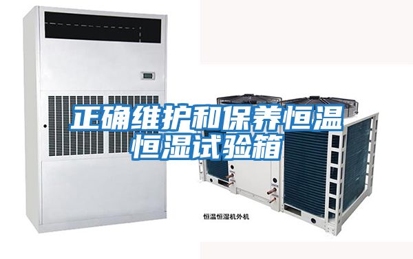 正確維護和保養(yǎng)恒溫恒濕試驗箱