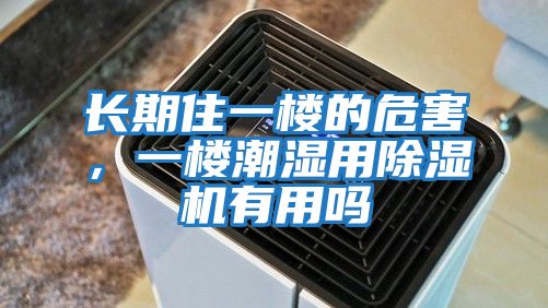 長期住一樓的危害,一樓潮濕用除濕機有用嗎
