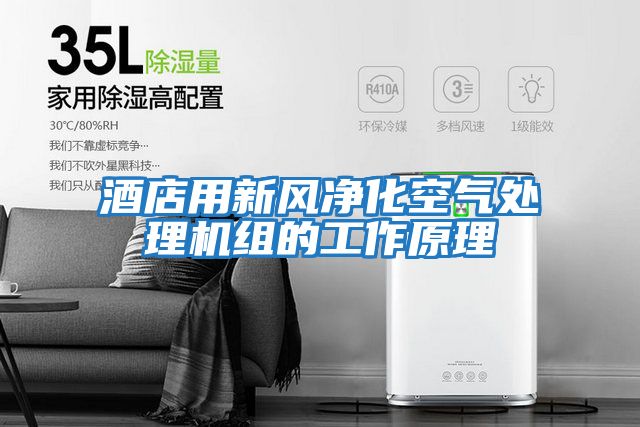酒店用新風凈化空氣處理機組的工作原理