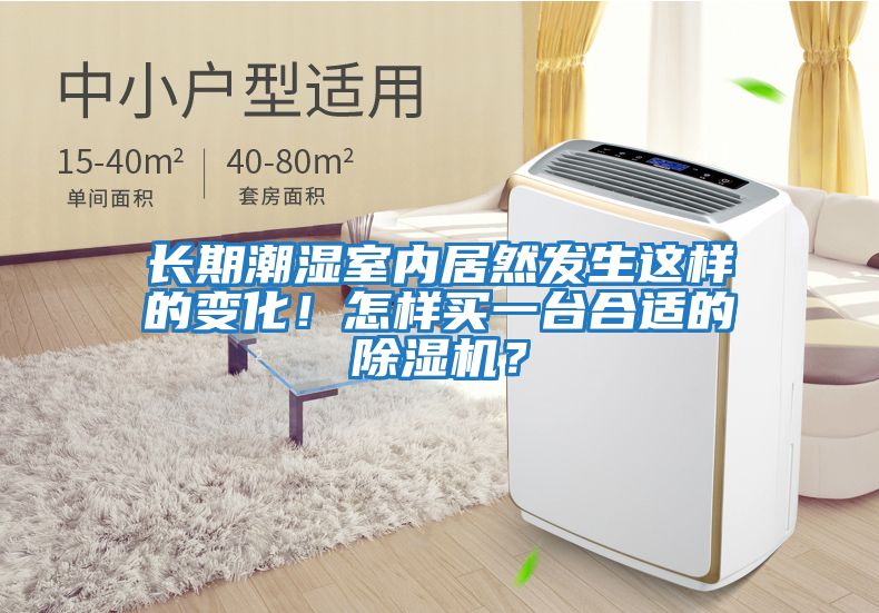 長期潮濕室內居然發生這樣的變化!怎樣買一臺合適的除濕機?