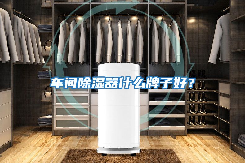 車(chē)間除濕器什么牌子好？