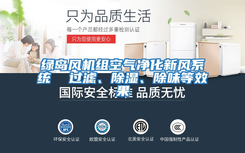 綠島風(fēng)機(jī)組空氣凈化新風(fēng)系統(tǒng) 過(guò)濾、除濕、除味等效果