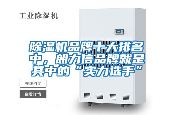 除濕機(jī)品牌十大排名中,朗力信品牌就是其中的“實(shí)力選手”