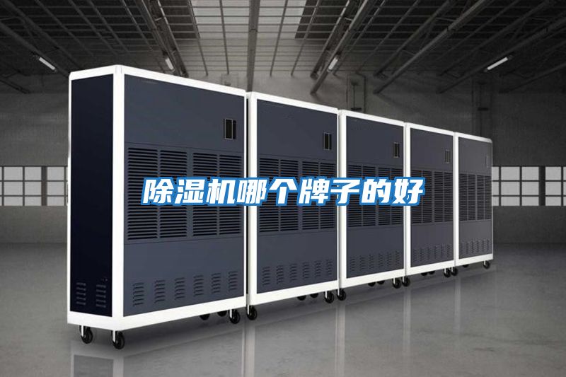 除濕機(jī)哪個牌子的好