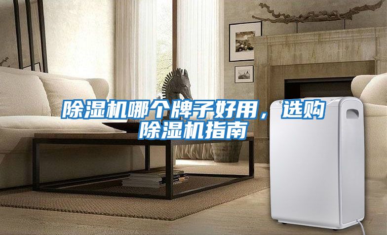 除濕機哪個牌子好用,選購除濕機指南