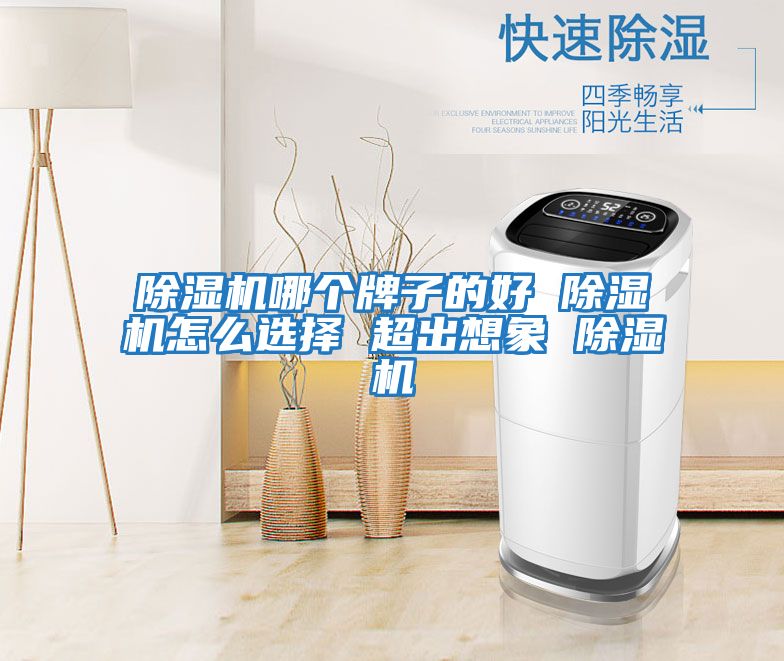 除濕機(jī)哪個牌子的好 除濕機(jī)怎么選擇 超出想象 除濕機(jī)