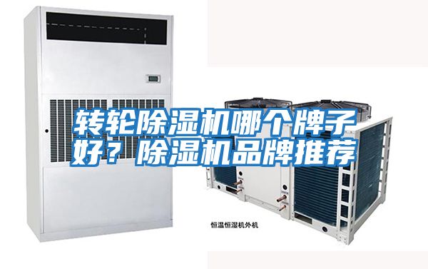 轉輪除濕機哪個牌子好?除濕機品牌推薦