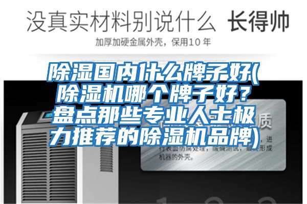 除濕國內什么牌子好(除濕機哪個牌子好？盤點那些專業(yè)人士極力推薦的除濕機品牌)