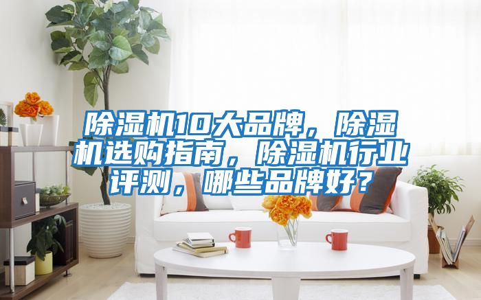 除濕機(jī)10大品牌,除濕機(jī)選購(gòu)指南,除濕機(jī)行業(yè)評(píng)測(cè),哪些品牌好?