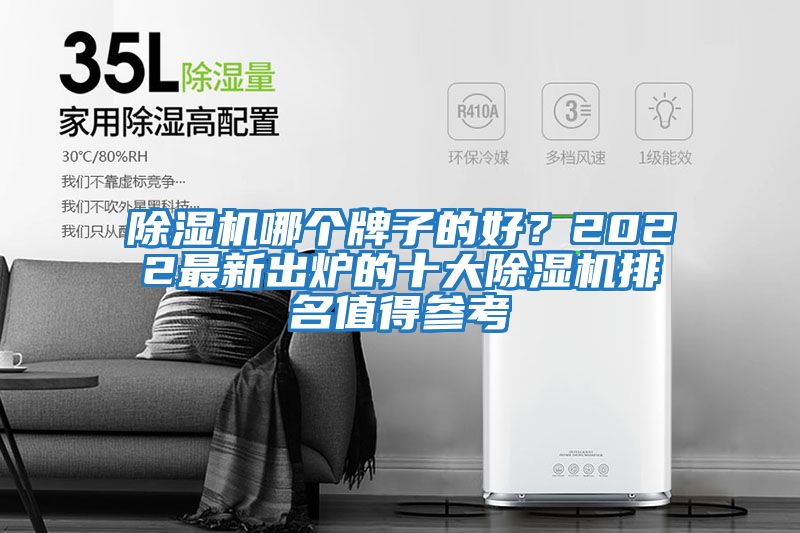 除濕機(jī)哪個牌子的好？2022最新出爐的十大除濕機(jī)排名值得參考