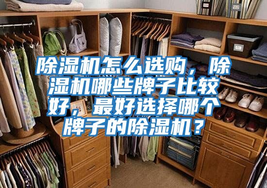 除濕機怎么選購，除濕機哪些牌子比較好，最好選擇哪個牌子的除濕機？