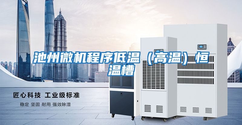 池州微機(jī)程序低溫(高溫)恒溫槽