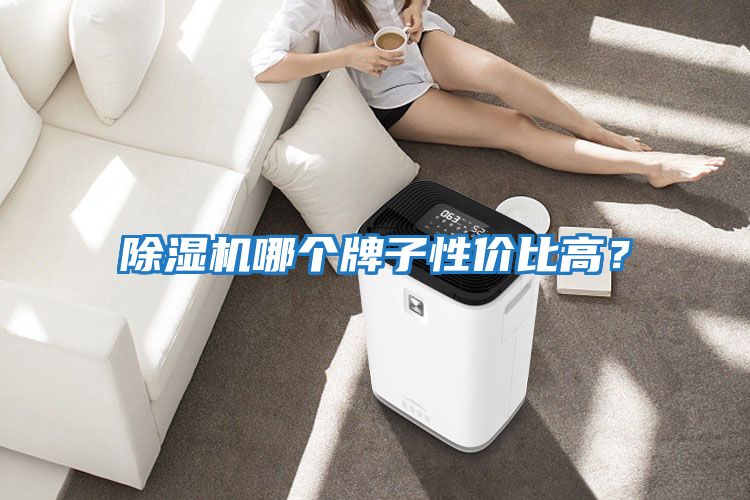 除濕機(jī)哪個牌子性價比高?