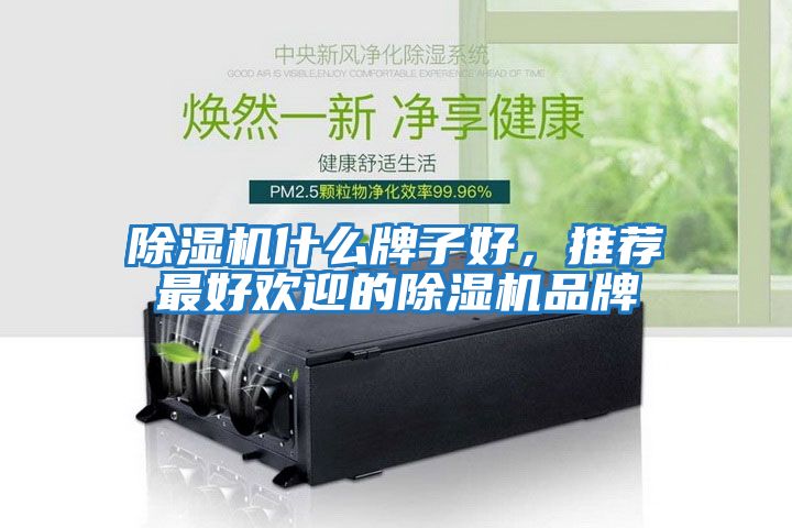 除濕機什么牌子好，推薦最好歡迎的除濕機品牌