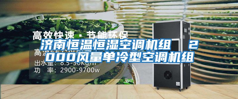 濟南恒溫恒濕空調(diào)機組 2000風量單冷型空調(diào)機組