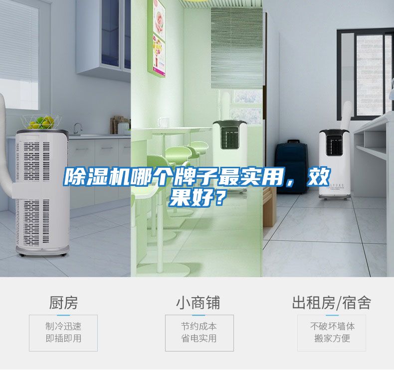 除濕機(jī)哪個牌子最實用，效果好？