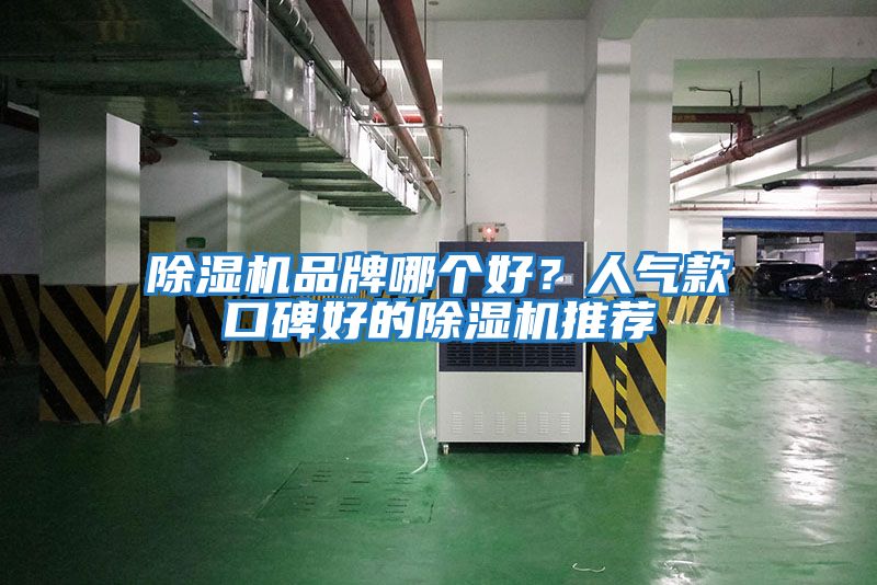 除濕機(jī)品牌哪個(gè)好?人氣款口碑好的除濕機(jī)推薦