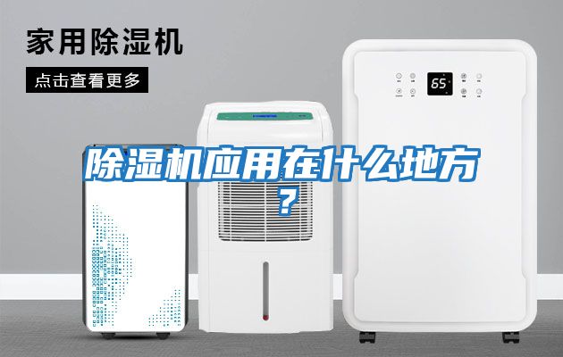 除濕機應(yīng)用在什么地方?