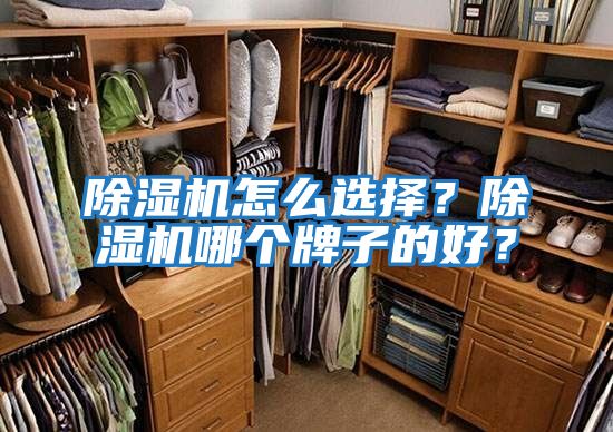除濕機(jī)怎么選擇?除濕機(jī)哪個(gè)牌子的好?