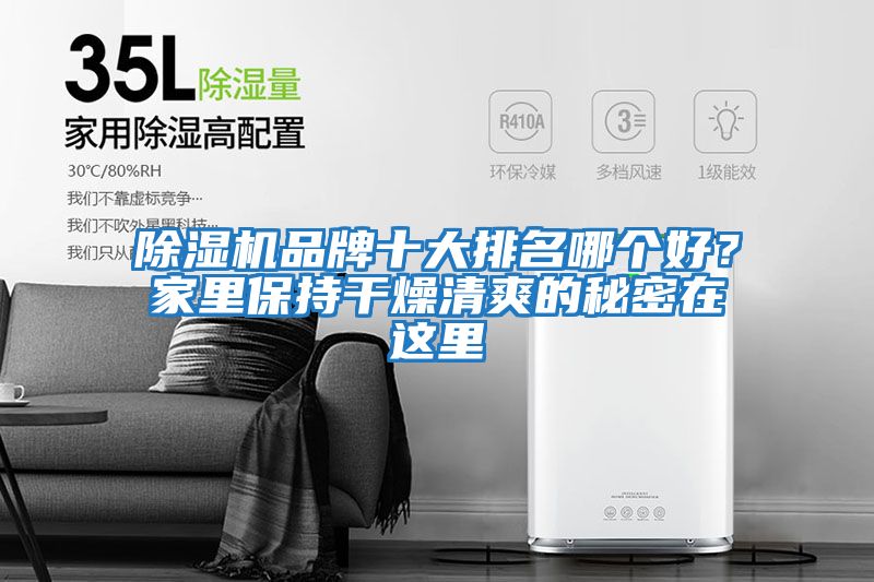 除濕機(jī)品牌十大排名哪個(gè)好?家里保持干燥清爽的秘密在這里