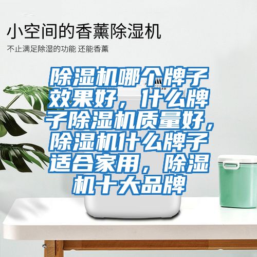 除濕機(jī)哪個(gè)牌子效果好，什么牌子除濕機(jī)質(zhì)量好，除濕機(jī)什么牌子適合家用，除濕機(jī)十大品牌