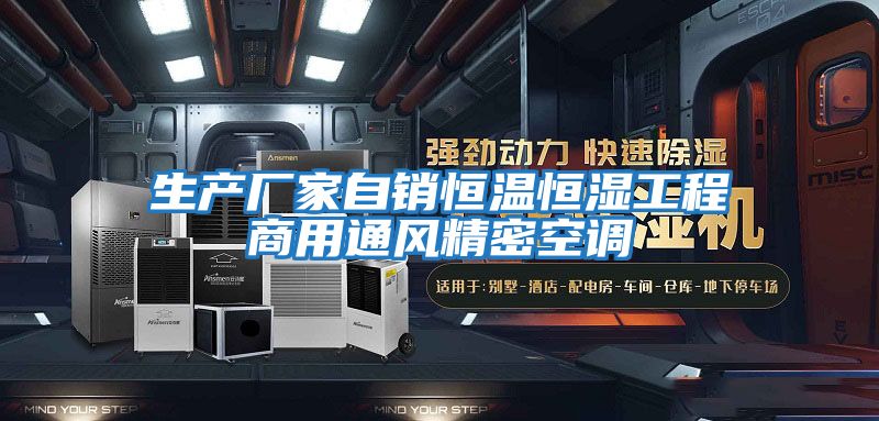 生產(chǎn)廠家自銷(xiāo)恒溫恒濕工程商用通風(fēng)精密空調(diào)