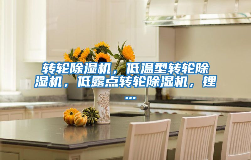 轉(zhuǎn)輪除濕機，低溫型轉(zhuǎn)輪除濕機，低露點轉(zhuǎn)輪除濕機，鋰 ...