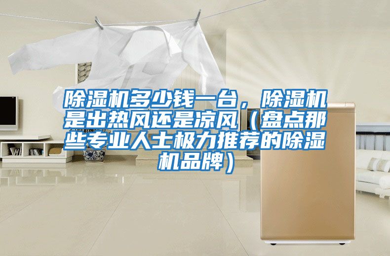 除濕機多少錢一臺，除濕機是出熱風還是涼風（盤點那些專業人士極力推薦的除濕機品牌）