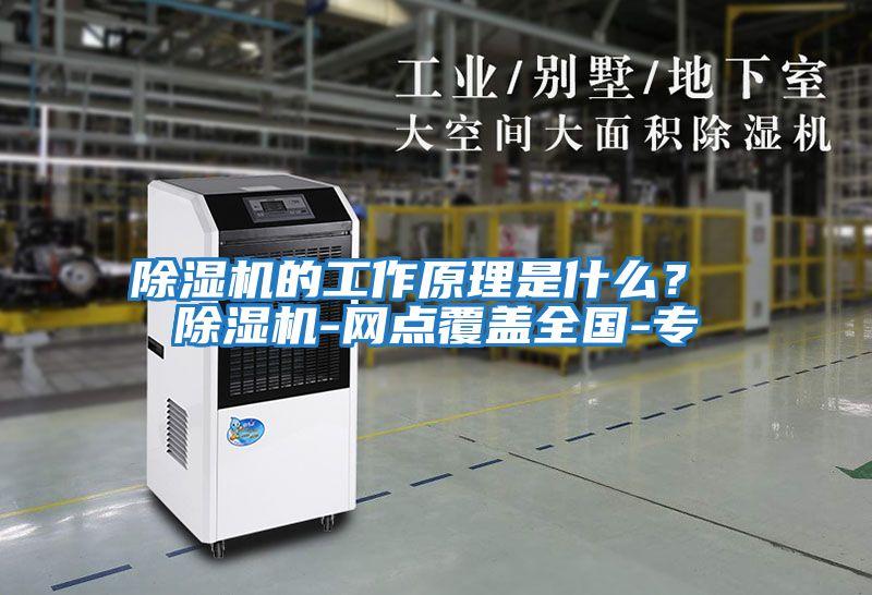 除濕機(jī)的工作原理是什么? 除濕機(jī)-網(wǎng)點(diǎn)覆蓋全國(guó)-專
