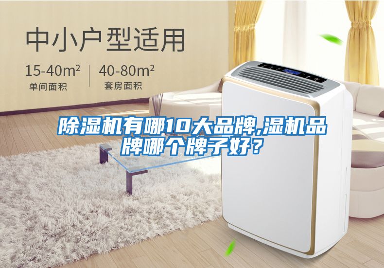 除濕機有哪10大品牌,濕機品牌哪個牌子好?