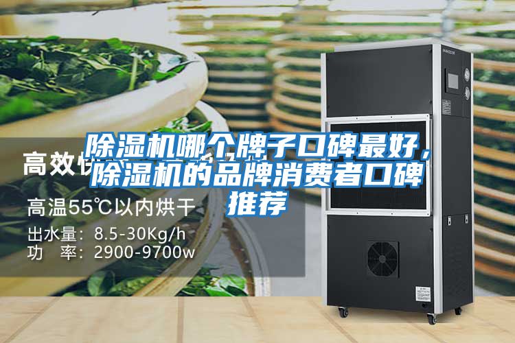 除濕機哪個牌子口碑最好，除濕機的品牌消費者口碑推薦
