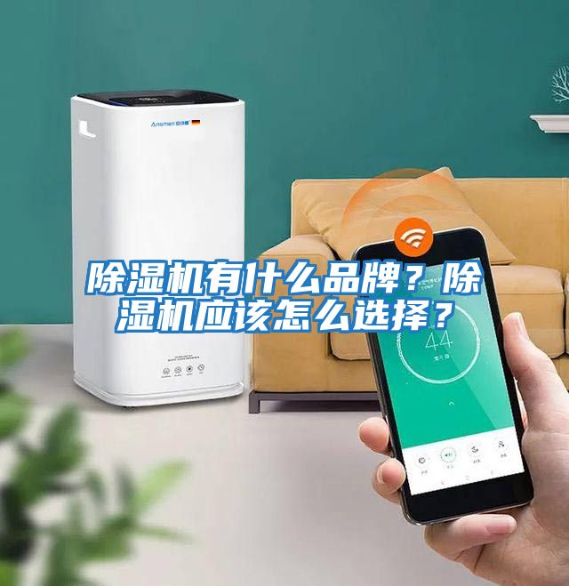 除濕機有什么品牌?除濕機應該怎么選擇?
