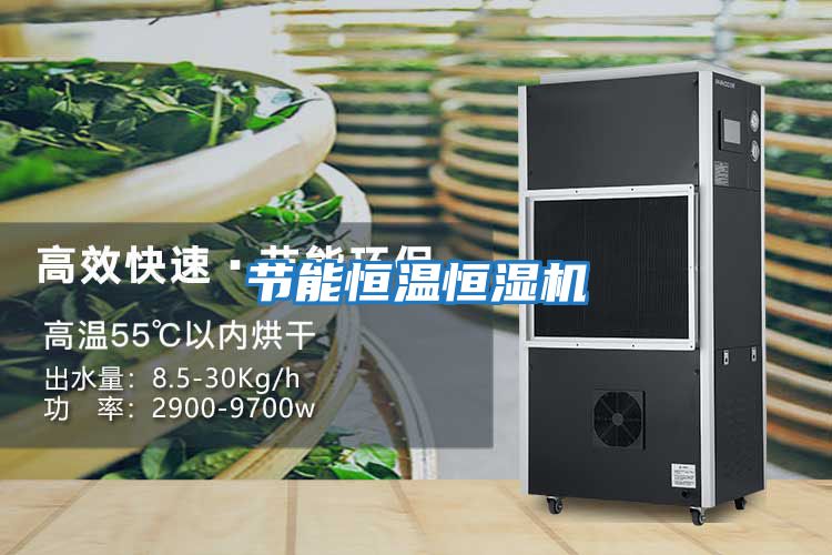 節能恒溫恒濕機