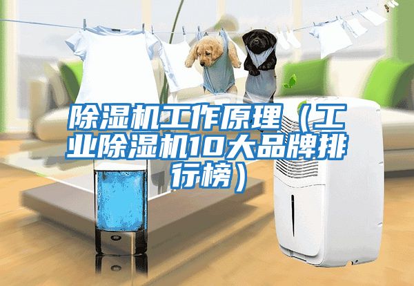 除濕機工作原理(工業(yè)除濕機10大品牌排行榜)