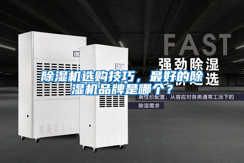 除濕機選購技巧，最好的除濕機品牌是哪個？