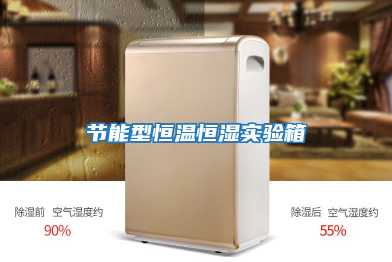 節能型恒溫恒濕實驗箱