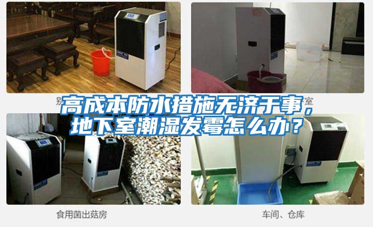 高成本防水措施無濟于事，地下室潮濕發霉怎么辦？