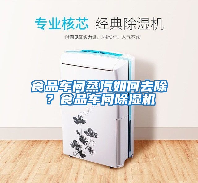 食品車間蒸汽如何去除?食品車間除濕機(jī)