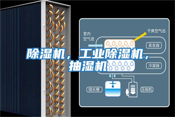 除濕機，工業(yè)除濕機，抽濕機