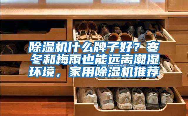 除濕機什么牌子好？寒冬和梅雨也能遠離潮濕環(huán)境，家用除濕機推薦