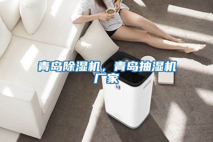 青島除濕機,青島抽濕機廠家