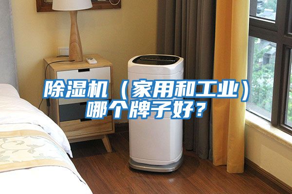 除濕機（家用和工業(yè)）哪個牌子好？