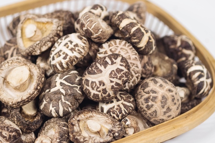 干貨倉(cāng)庫(kù)怎么利用除濕機(jī)保持干爽？