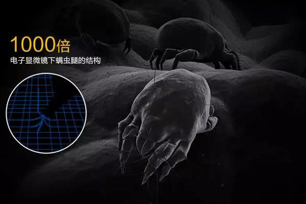 螨蟲高發(fā)季,家用除濕機(jī)除螨有妙計!